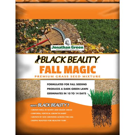 Fall Landscaping Made Easy: Introducing Jonathan Green Black Beauty Fall Spell